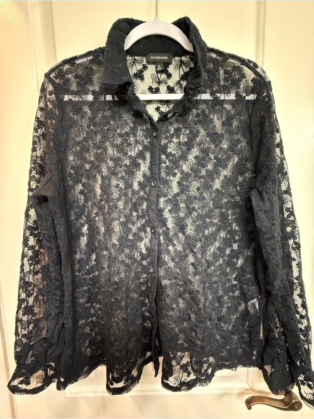 Calliope Black Sheer Lace Button-Down Shirt